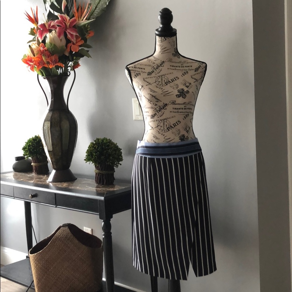 Ann Taylor excellent used condition skirt